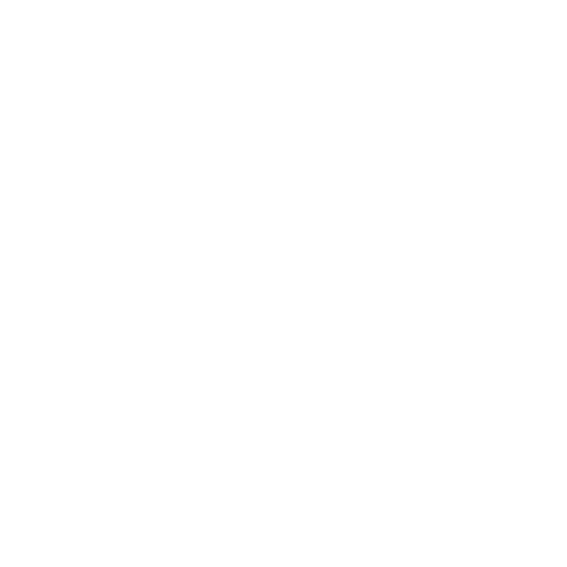 Countries Icon